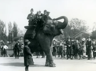 Armenische Besucher reiten auf Indiarani, beobachtet von Zuschauermengen, London Zoo, Mai 1923